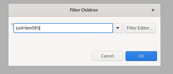 Ldap-filter-children-prompt